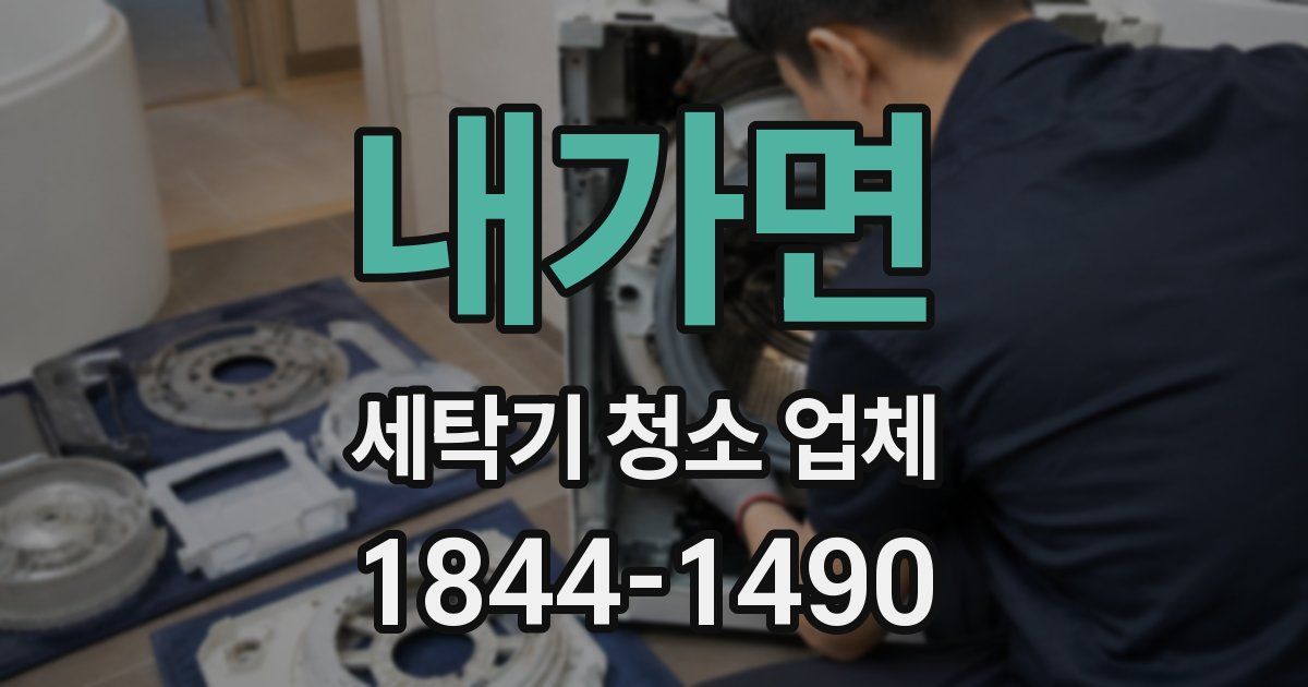 내가면 세탁기 청소 업체