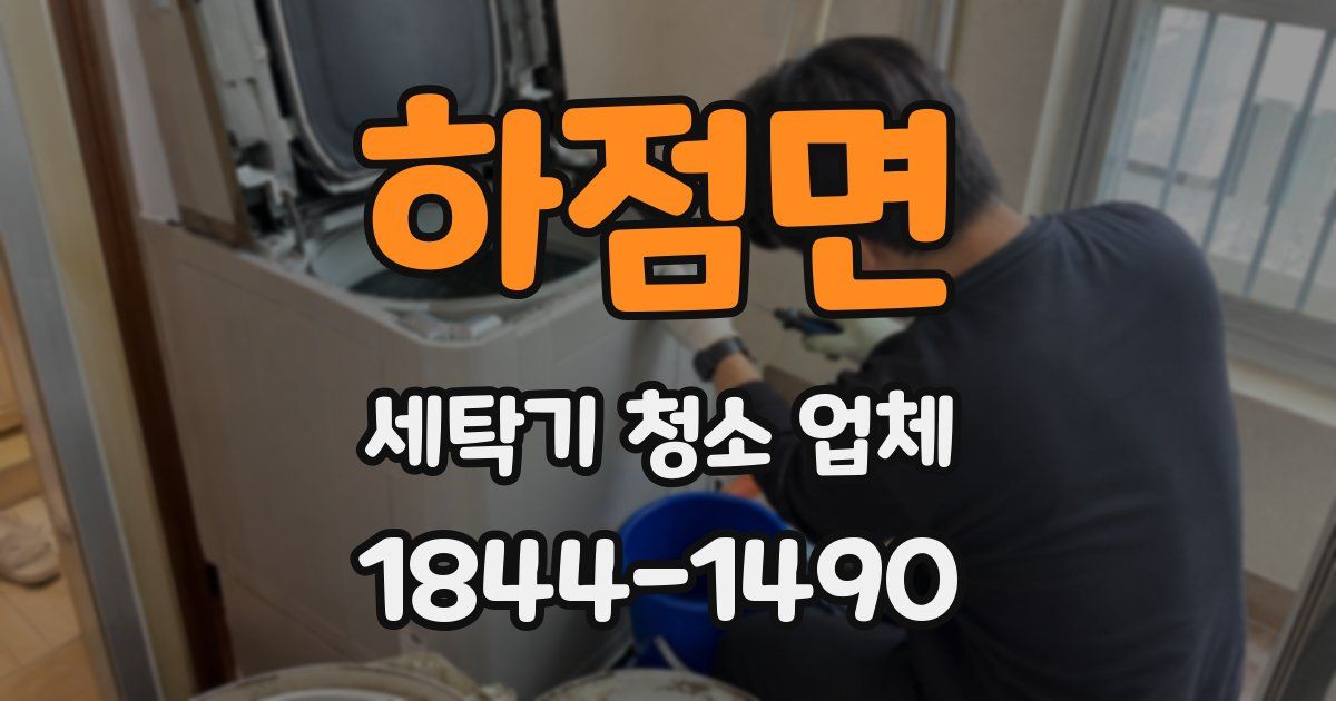 하점면 세탁기 청소 업체