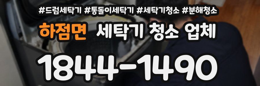 하점면 세탁기 청소 업체