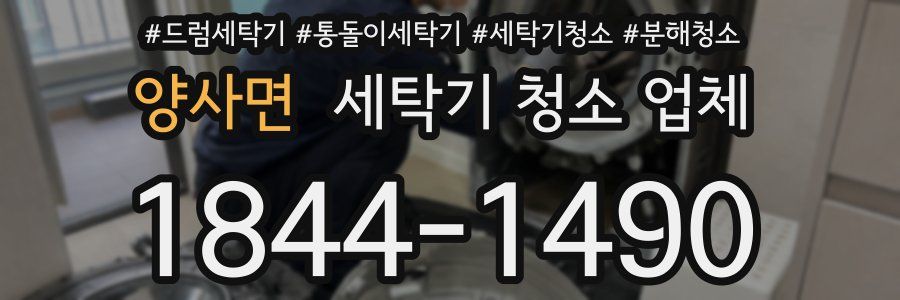 양사면 세탁기 청소 업체