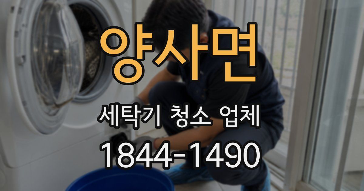 양사면 세탁기 청소 업체