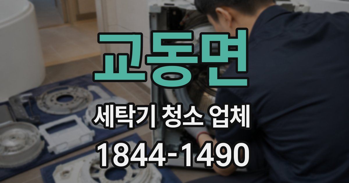 교동면 세탁기 청소 업체