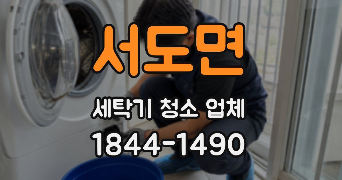 서도면 세탁기 청소 업체