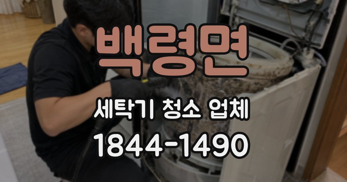 백령면 세탁기 청소 업체