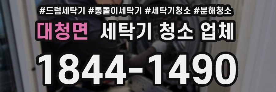 대청면 세탁기 청소 업체