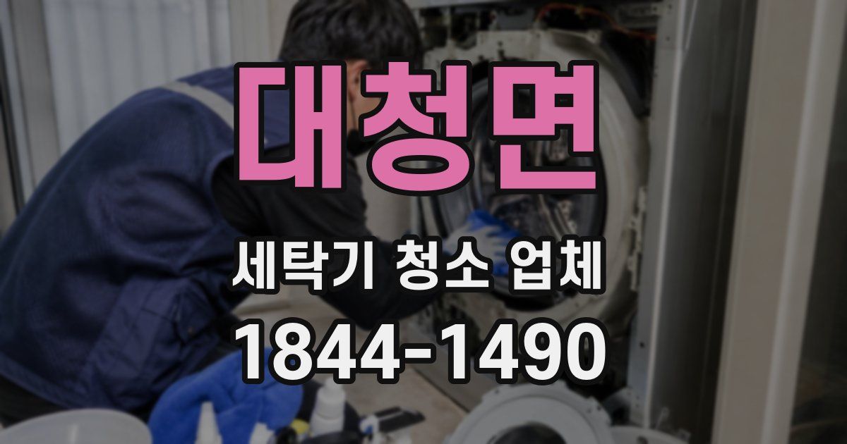 대청면 세탁기 청소 업체