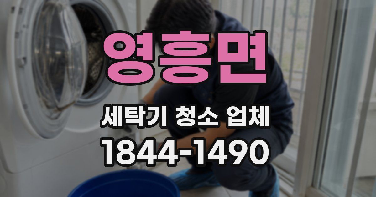 영흥면 세탁기 청소 업체