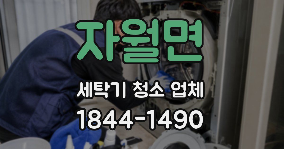 자월면 세탁기 청소 업체
