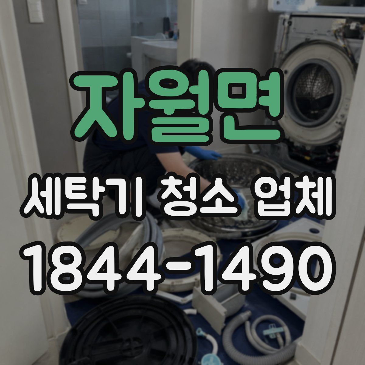 자월면 세탁기 청소 업체
