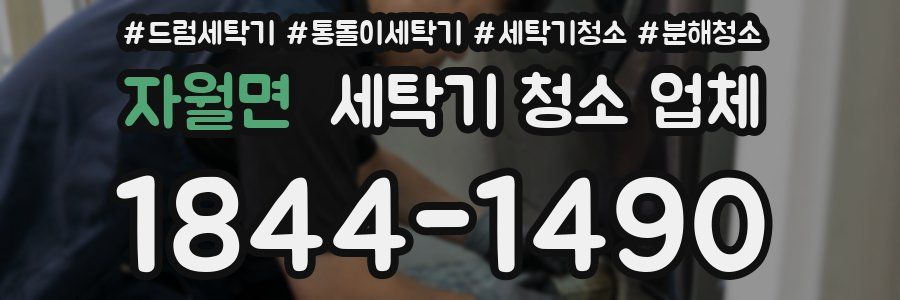자월면 세탁기 청소 업체