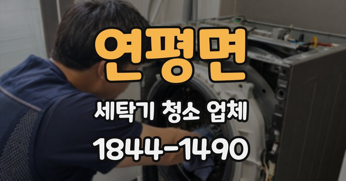 연평면 세탁기 청소 업체