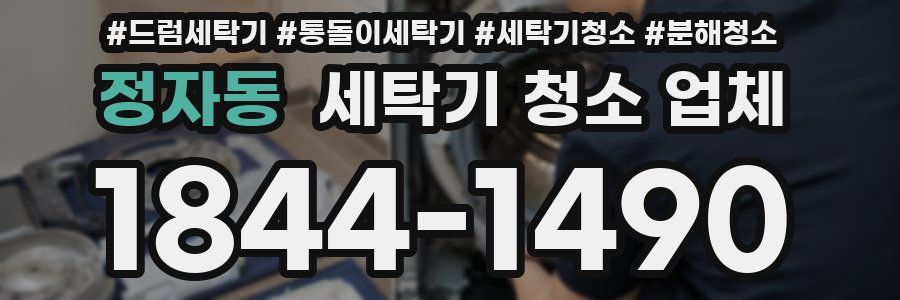 정자동 세탁기 청소 업체