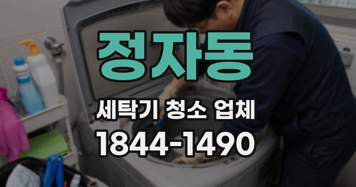 정자동 세탁기 청소 업체