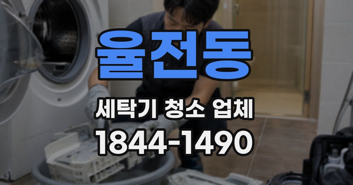 율전동 세탁기 청소 업체