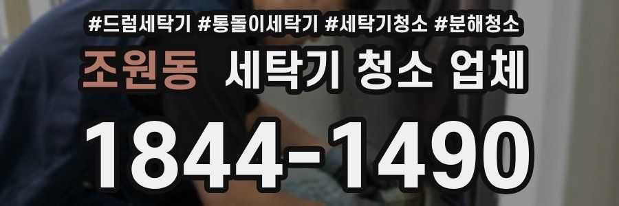 조원동 세탁기 청소 업체