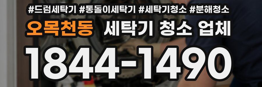 오목천동 세탁기 청소 업체