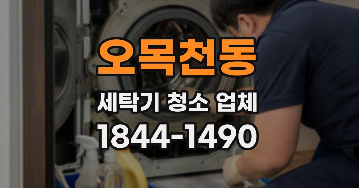 오목천동 세탁기 청소 업체