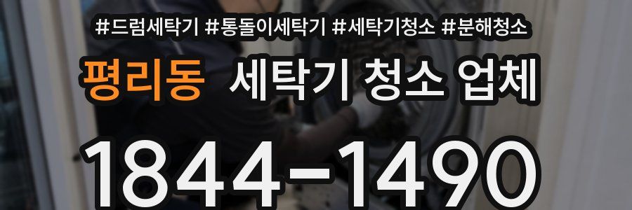 평리동 세탁기 청소 업체