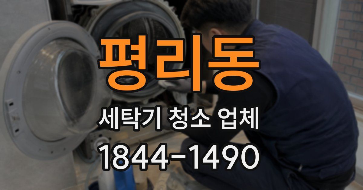 평리동 세탁기 청소 업체