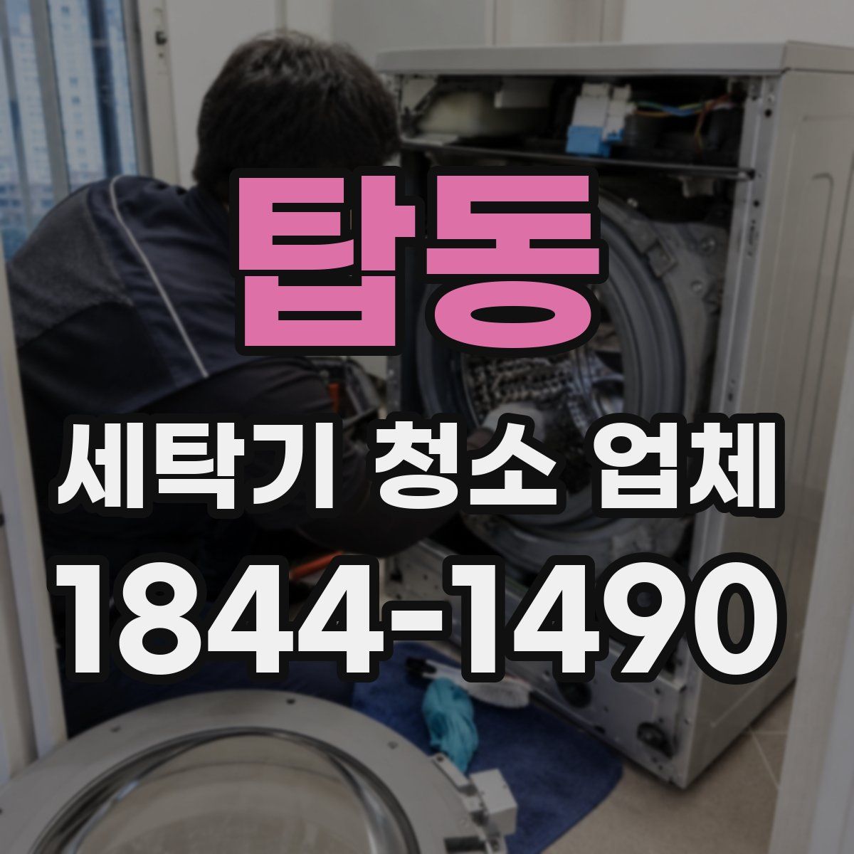 탑동 세탁기 청소 업체