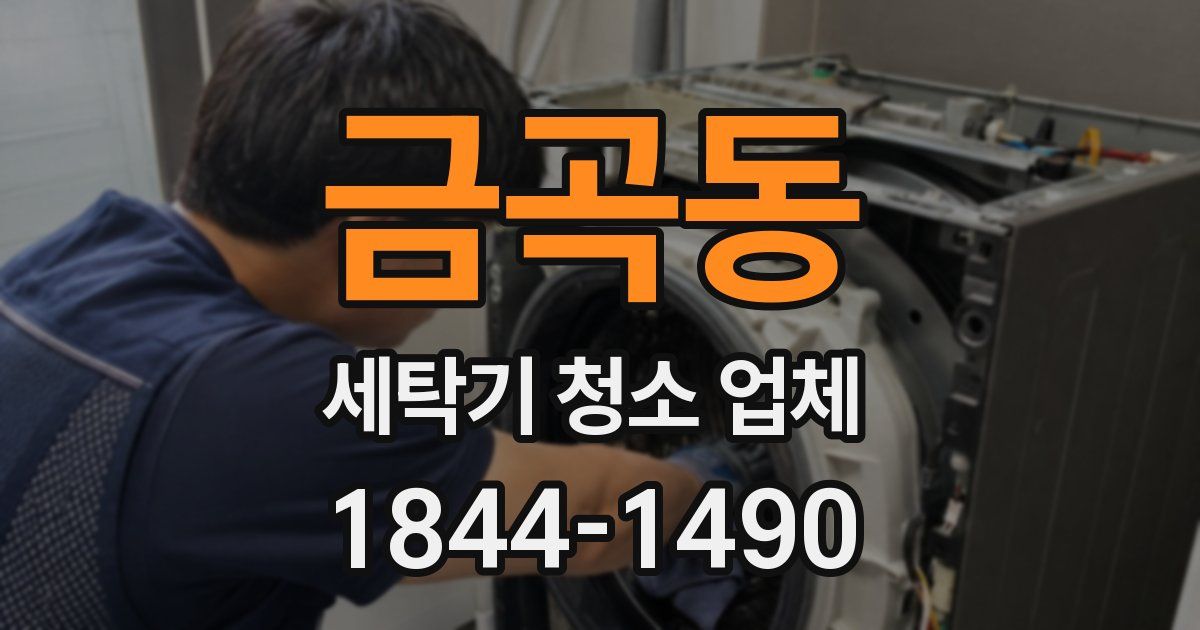 금곡동 세탁기 청소 업체