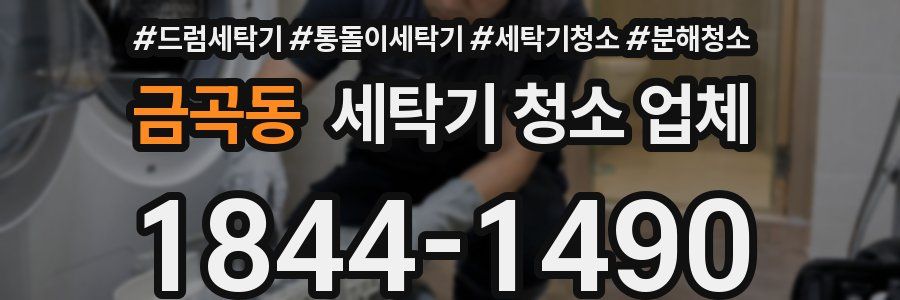금곡동 세탁기 청소 업체