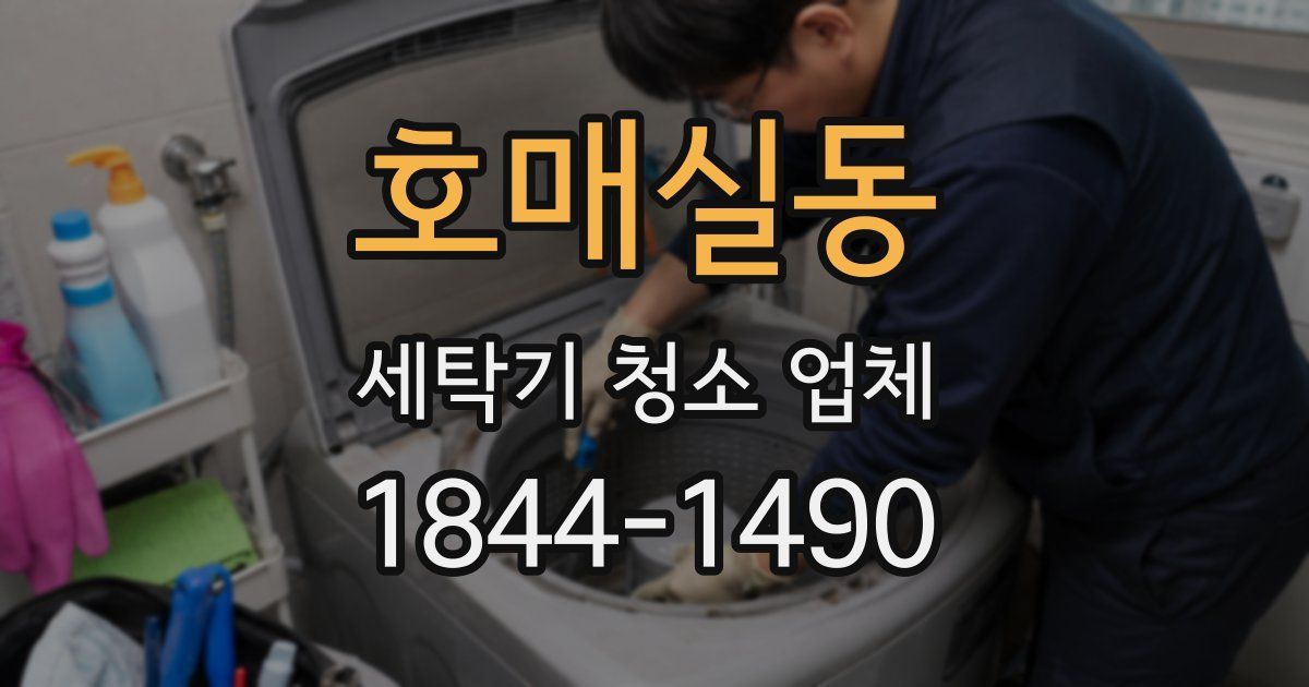 호매실동 세탁기 청소 업체