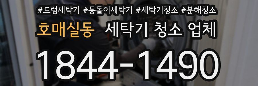 호매실동 세탁기 청소 업체