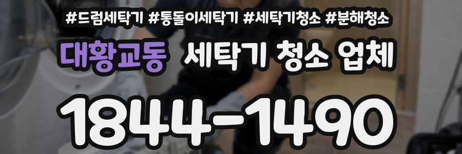 대황교동 세탁기 청소 업체