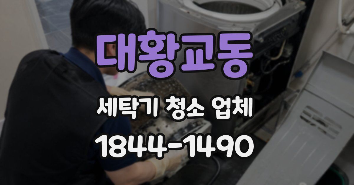 대황교동 세탁기 청소 업체