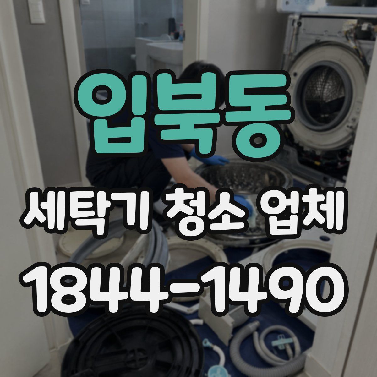 입북동 세탁기 청소 업체
