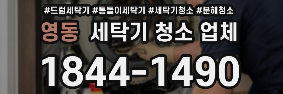 영동 세탁기 청소 업체