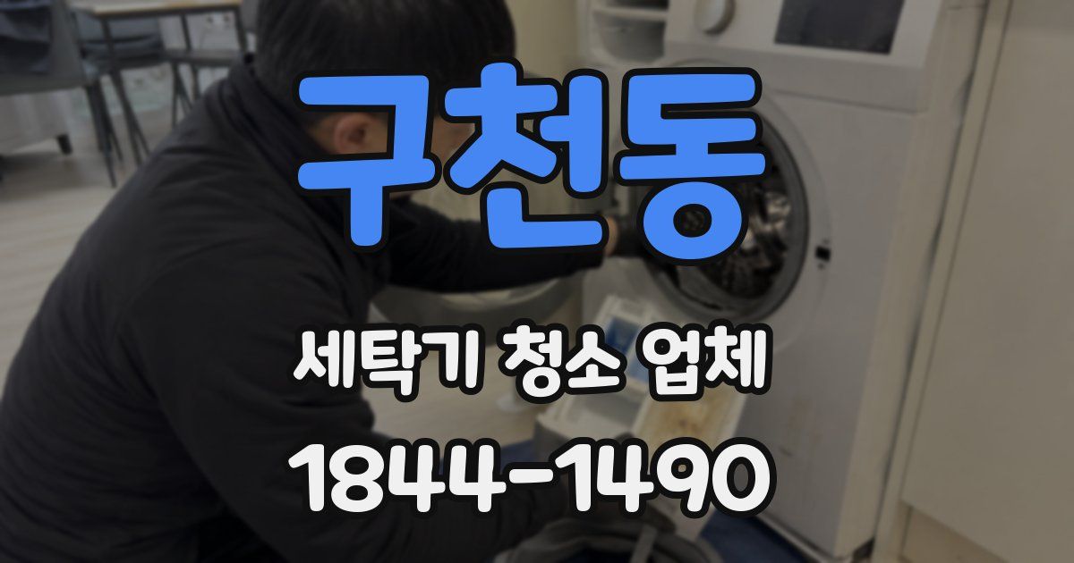 구천동 세탁기 청소 업체