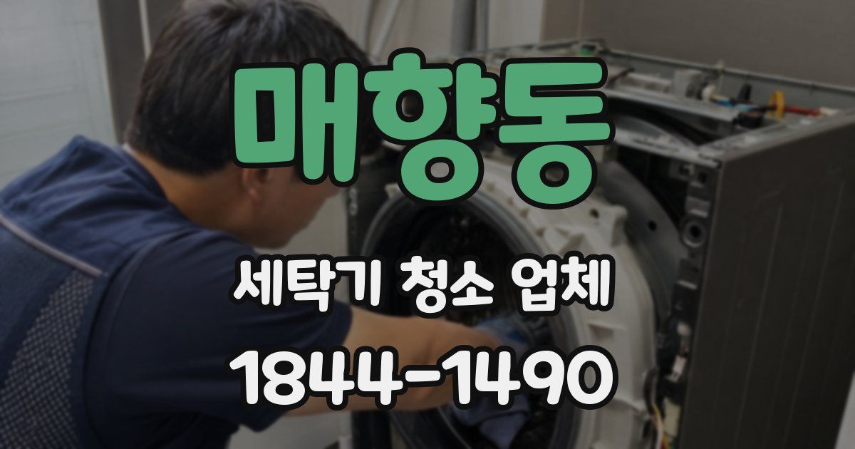 매향동 세탁기 청소 업체