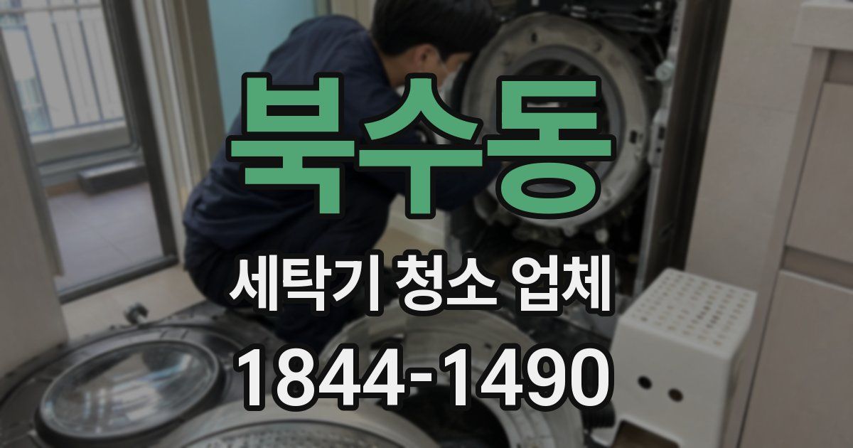북수동 세탁기 청소 업체