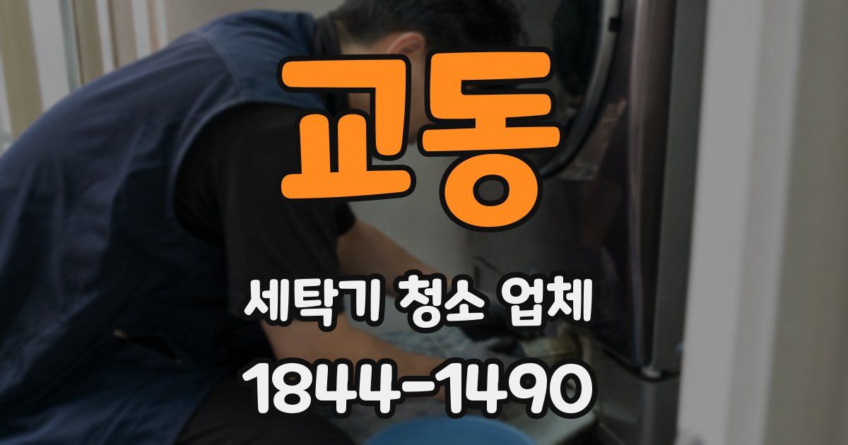 교동 세탁기 청소 업체