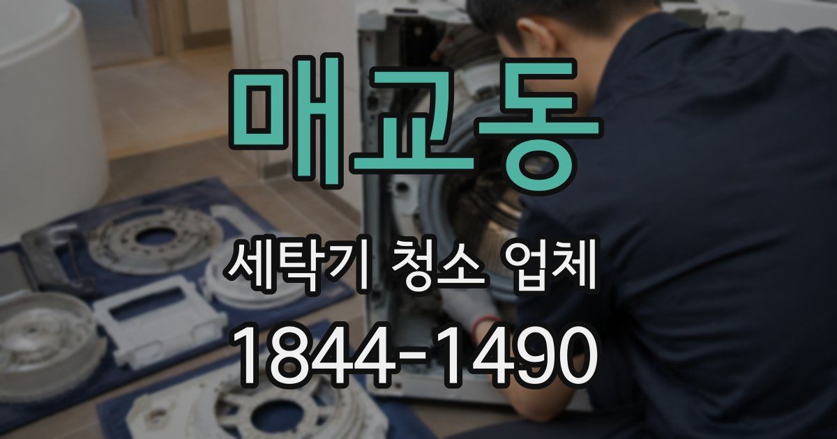 매교동 세탁기 청소 업체