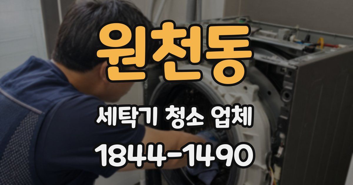 원천동 세탁기 청소 업체