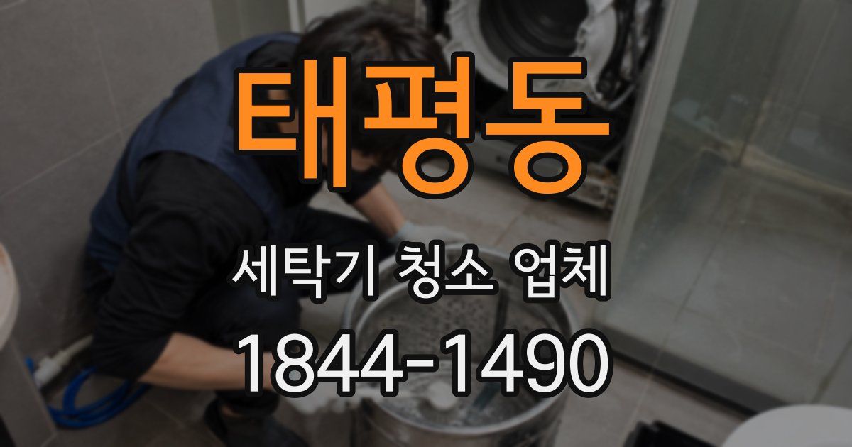 태평동 세탁기 청소 업체
