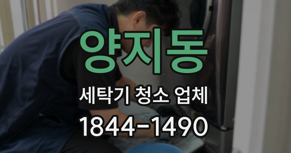 양지동 세탁기 청소 업체