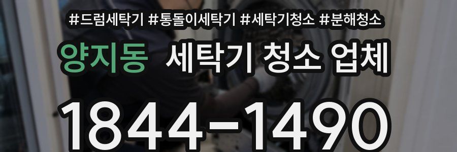 양지동 세탁기 청소 업체