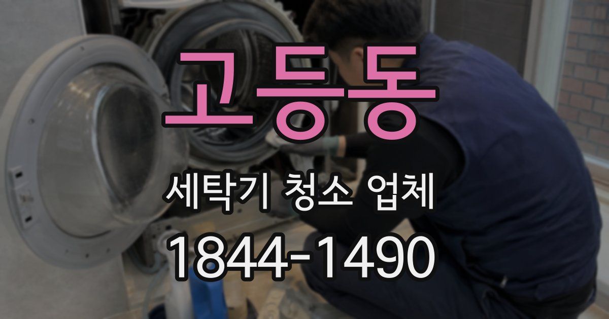 고등동 세탁기 청소 업체