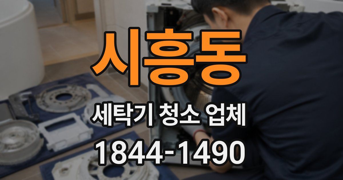 시흥동 세탁기 청소 업체