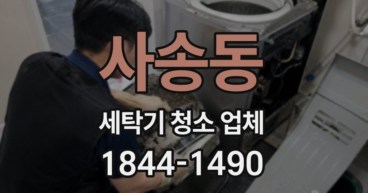 사송동 세탁기 청소 업체