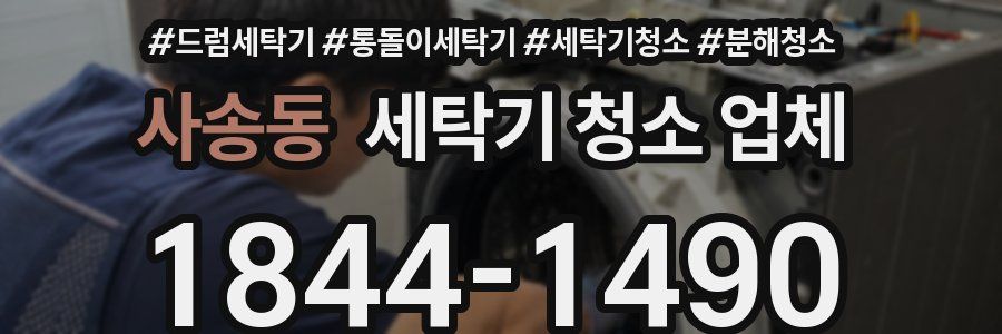 사송동 세탁기 청소 업체