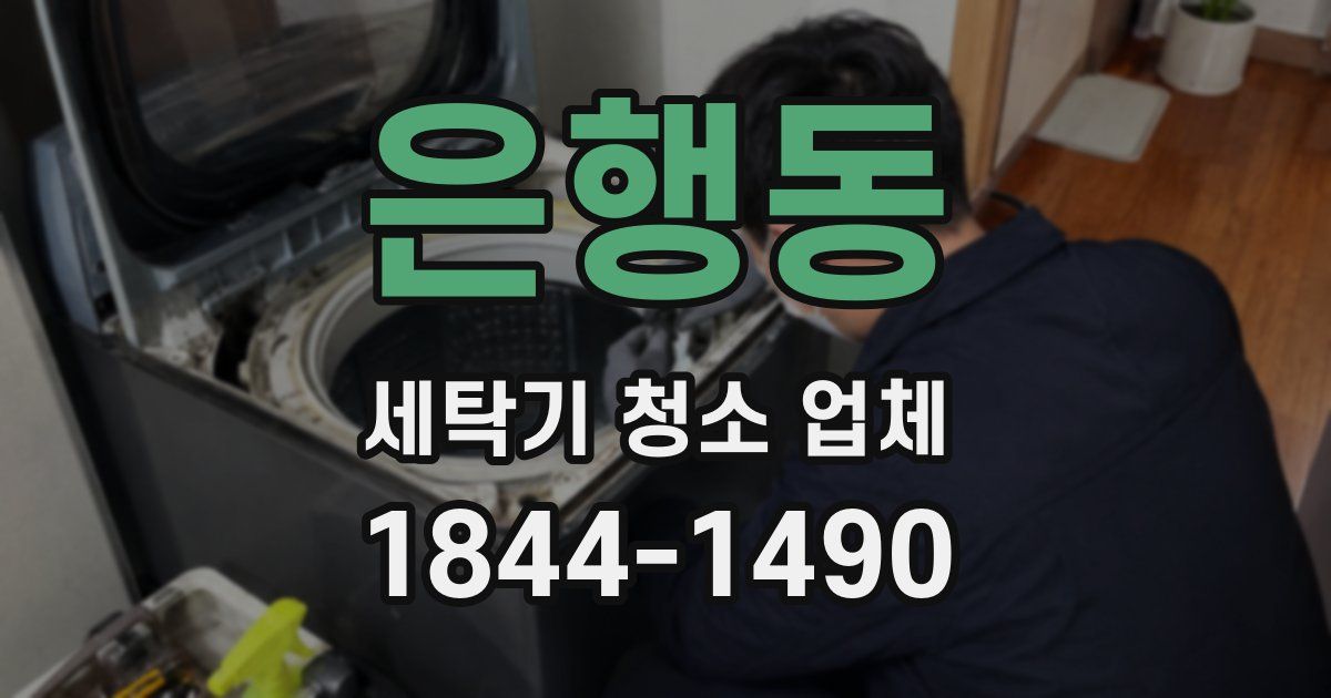은행동 세탁기 청소 업체