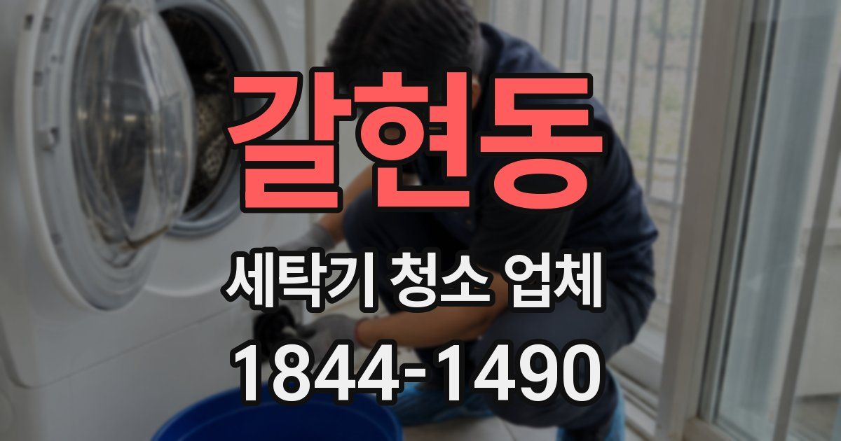 갈현동 세탁기 청소 업체
