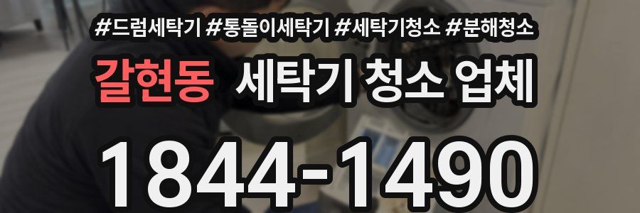 갈현동 세탁기 청소 업체