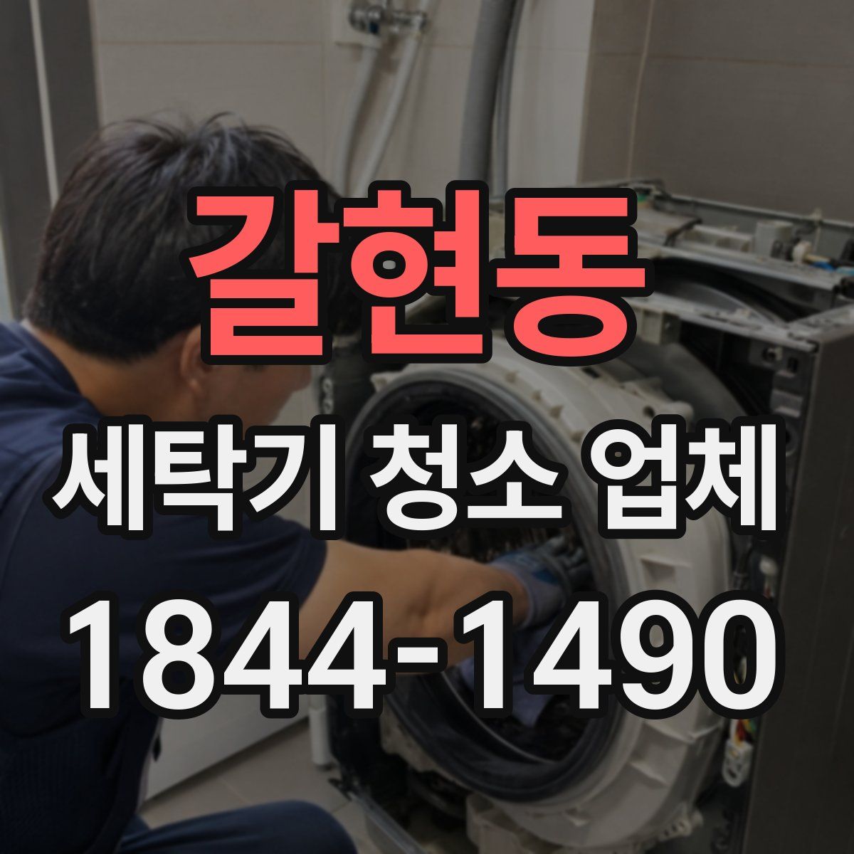 갈현동 세탁기 청소 업체