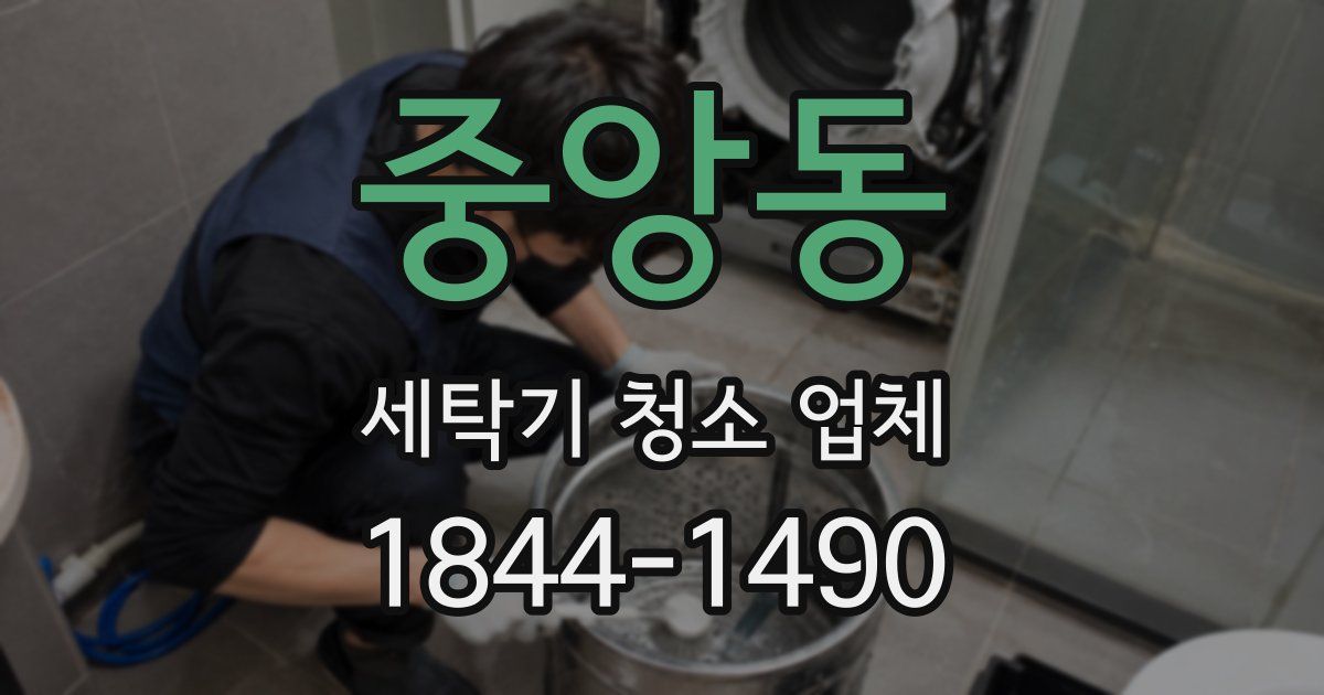 중앙동 세탁기 청소 업체